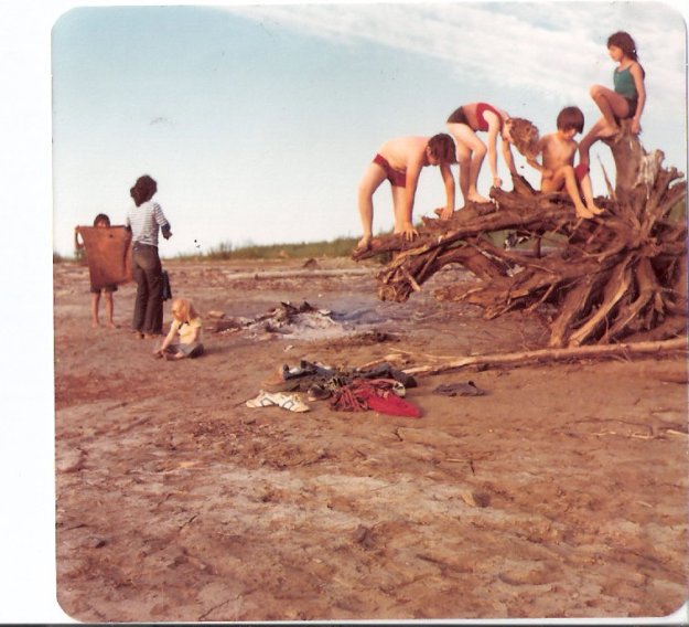 A study in roots, arms and legs, at the Peel River beach.
