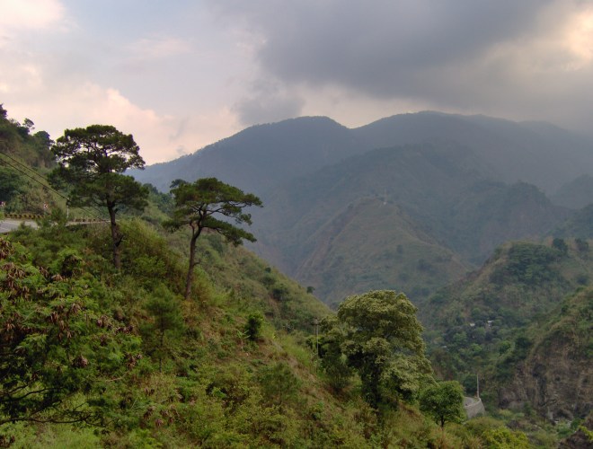 As we travelle toward our destination, pine trees began to appear.