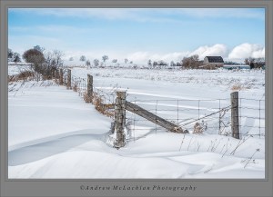 farmland-in-winter_6934